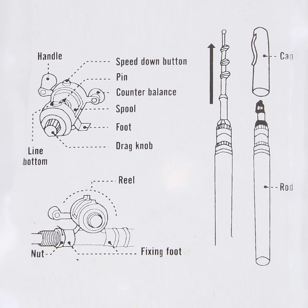 Multicolor Mini Pocket Fish Pen